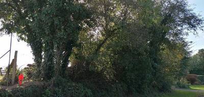 Terrain à Ploërmel en Morbihan (56) de 600 m² à vendre au prix de 48990€ - 3