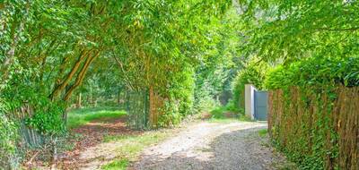 Terrain à Aumont-en-Halatte en Oise (60) de 31801 m² à vendre au prix de 134000€ - 1