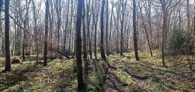 Terrain à Arrest en Somme (80) de 4250 m² à vendre au prix de 23000€ - 2