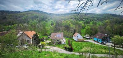 Terrain à Linthal en Haut-Rhin (68) de 1050 m² à vendre au prix de 80000€ - 3