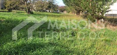 Terrain à Montaigut-sur-Save en Haute-Garonne (31) de 810 m² à vendre au prix de 135000€ - 1