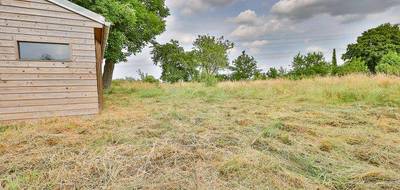 Terrain à Cappelle-en-Pévèle en Nord (59) de 0 m² à vendre au prix de 229000€ - 3