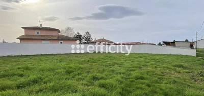 Terrain à Pizay en Ain (01) de 425 m² à vendre au prix de 129000€ - 1