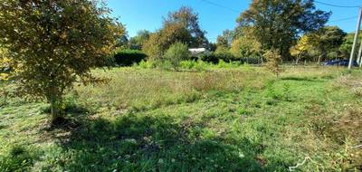 Terrain à Louchats en Gironde (33) de 6050 m² à vendre au prix de 137000€ - 2