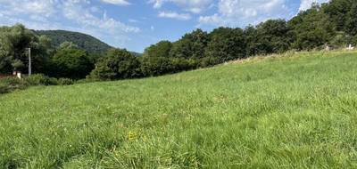 Terrain à Saint-Sernin-du-Bois en Saône-et-Loire (71) de 1636 m² à vendre au prix de 34168€ - 3