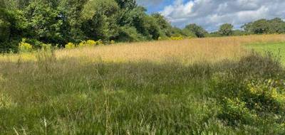 Terrain à Saint-Lyphard en Loire-Atlantique (44) de 4714 m² à vendre au prix de 210059€ - 2