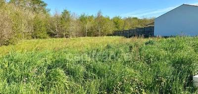 Terrain à Fouras en Charente-Maritime (17) de 701 m² à vendre au prix de 315000€ - 2
