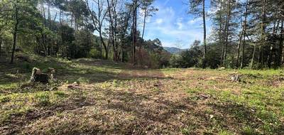 Terrain à Gagnières en Gard (30) de 4151 m² à vendre au prix de 66000€ - 3
