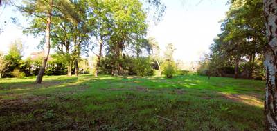 Terrain à Saint-Hilarion en Yvelines (78) de 1286 m² à vendre au prix de 138000€ - 2