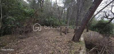Terrain à Solliès-Ville en Var (83) de 2093 m² à vendre au prix de 100000€ - 2