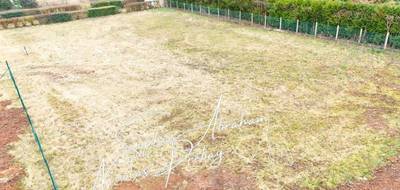 Terrain à Angerville en Essonne (91) de 944 m² à vendre au prix de 74990€ - 3