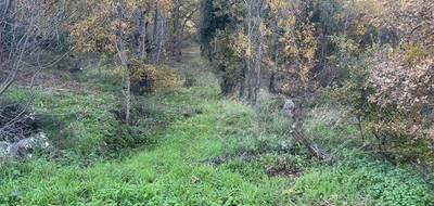Terrain à Ville-di-Paraso en Haute-Corse (2B) de 2000 m² à vendre au prix de 158690€ - 2