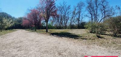Terrain à Saubens en Haute-Garonne (31) de 680 m² à vendre au prix de 168000€ - 4