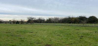 Terrain à Luçon en Vendée (85) de 950 m² à vendre au prix de 75000€ - 2