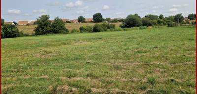 Terrain à Cérans-Foulletourte en Sarthe (72) de 6561 m² à vendre au prix de 34000€ - 1