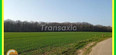 Terrain à La Belliole en Yonne (89) de 2440 m² à vendre au prix de 67200€ - 1