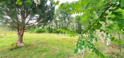Terrain à Pontonx-sur-l'Adour en Landes (40) de 2390 m² à vendre au prix de 95990€ - 3