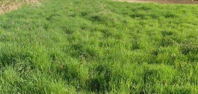 Terrain à Semur-en-Auxois en Côte-d'Or (21) de 1200 m² à vendre au prix de 30000€ - 2
