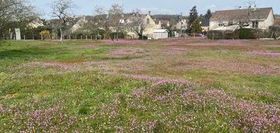 Terrain à Champagné en Sarthe (72) de 2675 m² à vendre au prix de 158000€ - 1