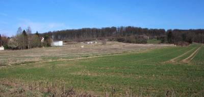 Terrain à Dampleux en Aisne (02) de 8000 m² à vendre au prix de 243500€ - 2