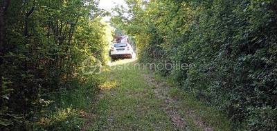 Terrain à Saint-Paterne-Racan en Indre-et-Loire (37) de 3816 m² à vendre au prix de 15000€ - 2