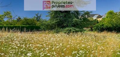 Terrain à Beaulieu-sur-Layon en Maine-et-Loire (49) de 0 m² à vendre au prix de 60000€ - 2