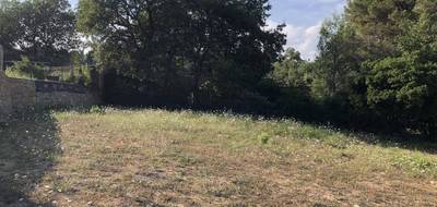 Terrain à Opio en Alpes-Maritimes (06) de 5450 m² à vendre au prix de 419000€ - 3