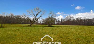 Terrain à Sagy en Saône-et-Loire (71) de 16788 m² à vendre au prix de 39000€ - 4