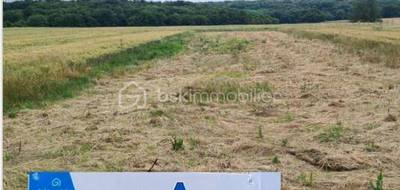 Terrain à Torfou en Essonne (91) de 1084 m² à vendre au prix de 125000€ - 1