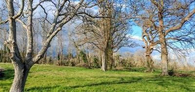 Terrain à Hinx en Landes (40) de 2825 m² à vendre au prix de 152500€ - 1