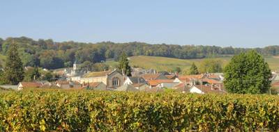 Terrain à Avize en Marne (51) de 542 m² à vendre au prix de 81950€ - 4