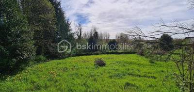 Terrain à Marles-sur-Canche en Pas-de-Calais (62) de 1000 m² à vendre au prix de 50000€ - 3