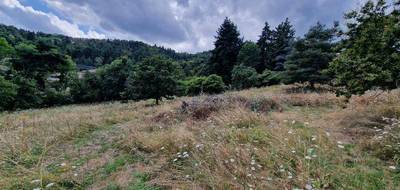 Terrain à Montbrison en Loire (42) de 1271 m² à vendre au prix de 79500€ - 3