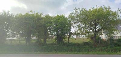 Terrain à Béganne en Morbihan (56) de 997 m² à vendre au prix de 29900€ - 2