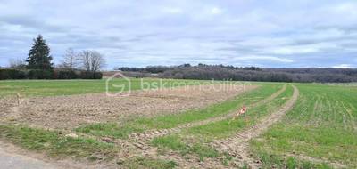 Terrain à Torfou en Essonne (91) de 1084 m² à vendre au prix de 125000€ - 2