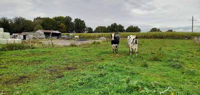 Terrain à Sars-Poteries en Nord (59) de 5907 m² à vendre au prix de 219900€ - 3