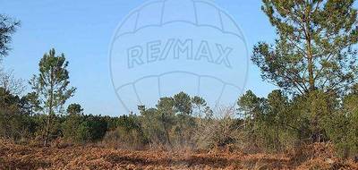 Terrain à Tartas en Landes (40) de 42134 m² à vendre au prix de 31000€ - 1