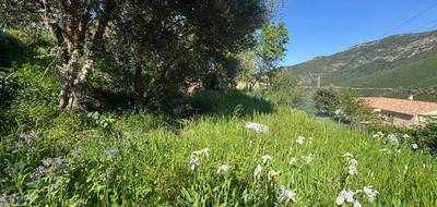 Terrain à Occhiatana en Haute-Corse (2B) de 623 m² à vendre au prix de 136800€ - 1