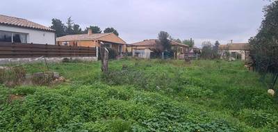 Terrain à Paulhan en Hérault (34) de 403 m² à vendre au prix de 111000€ - 3