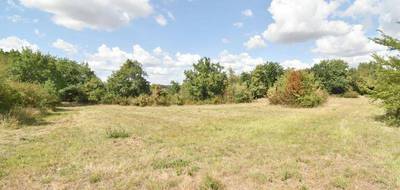 Terrain à Castelculier en Lot-et-Garonne (47) de 2802 m² à vendre au prix de 124900€ - 1