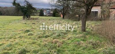 Terrain à Merkwiller-Pechelbronn en Bas-Rhin (67) de 2000 m² à vendre au prix de 155500€ - 4