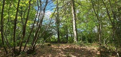 Terrain à Nieul en Haute-Vienne (87) de 4078 m² à vendre au prix de 4500€ - 4