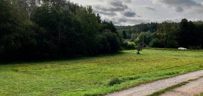 Terrain à Philippsbourg en Moselle (57) de 1811 m² à vendre au prix de 69000€ - 4