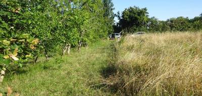 Terrain à Chenevelles en Vienne (86) de 1197 m² à vendre au prix de 15000€ - 4