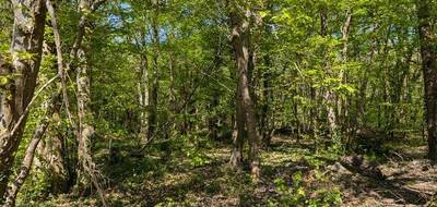 Terrain à Guignes en Seine-et-Marne (77) de 8597 m² à vendre au prix de 44000€ - 1