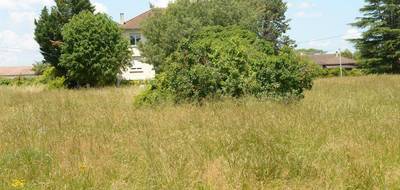 Terrain à Sainte-Livrade-sur-Lot en Lot-et-Garonne (47) de 707 m² à vendre au prix de 59000€ - 3