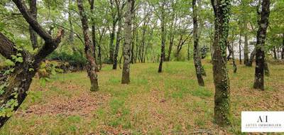 Terrain à Coux en Ardèche (07) de 1464 m² à vendre au prix de 145900€ - 2