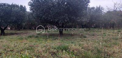 Terrain à Saint-Félix-de-Lodez en Hérault (34) de 520 m² à vendre au prix de 150000€ - 3