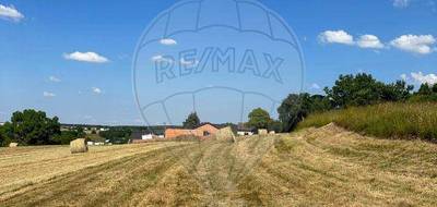 Terrain à Phalsbourg en Moselle (57) de 2043 m² à vendre au prix de 75000€ - 3