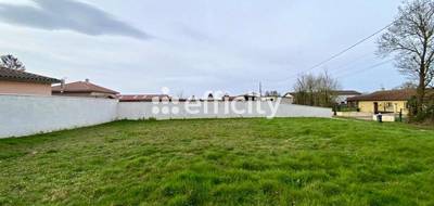 Terrain à Pizay en Ain (01) de 425 m² à vendre au prix de 129000€ - 3